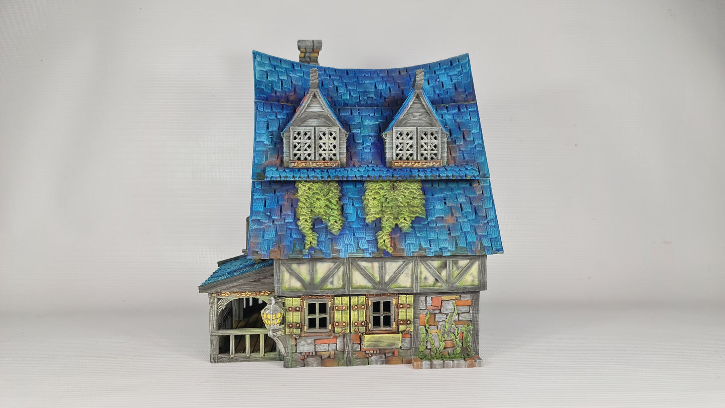 Medieval Town - Cobalt Dragon