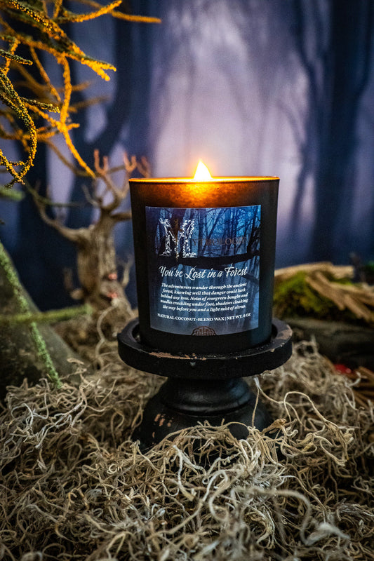 You're Lost in a Forest