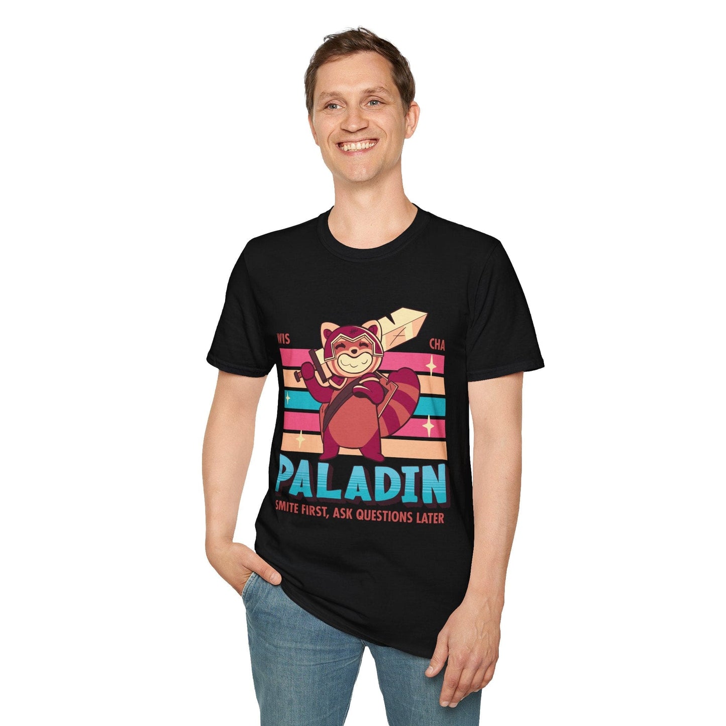 DnD Paladin Shirt - D&D Kawaii Class T-shirt
