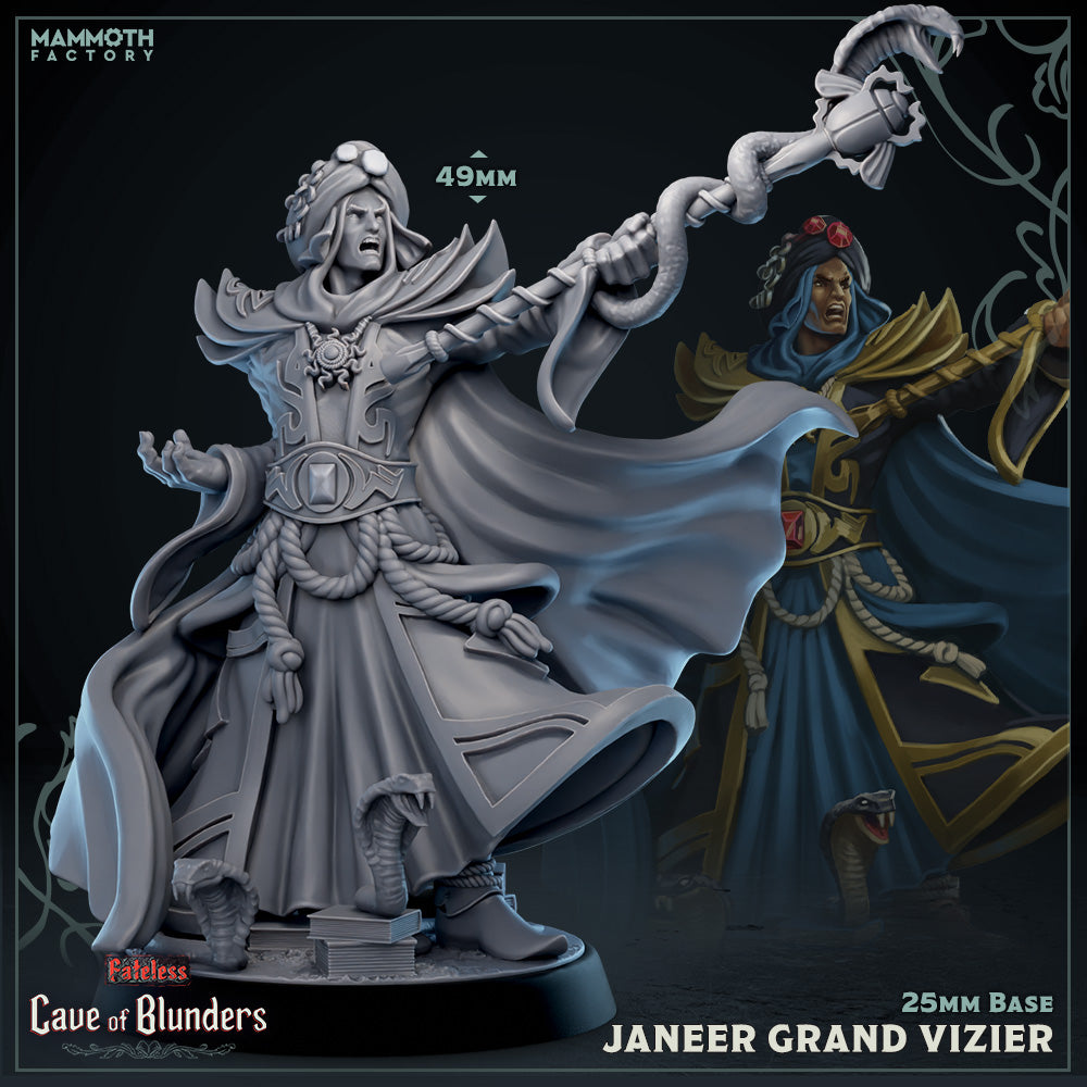 Janeer, Grand Vizier (Male Human Sorcerer)