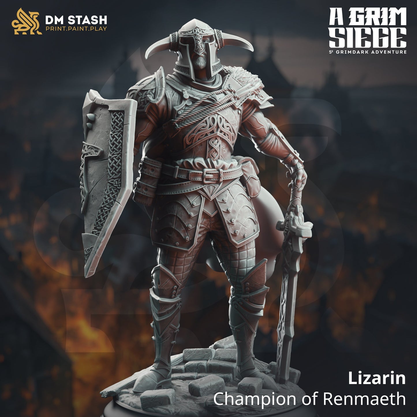 Lizarin, Champion of Renmaeth (Male Human Paladin)