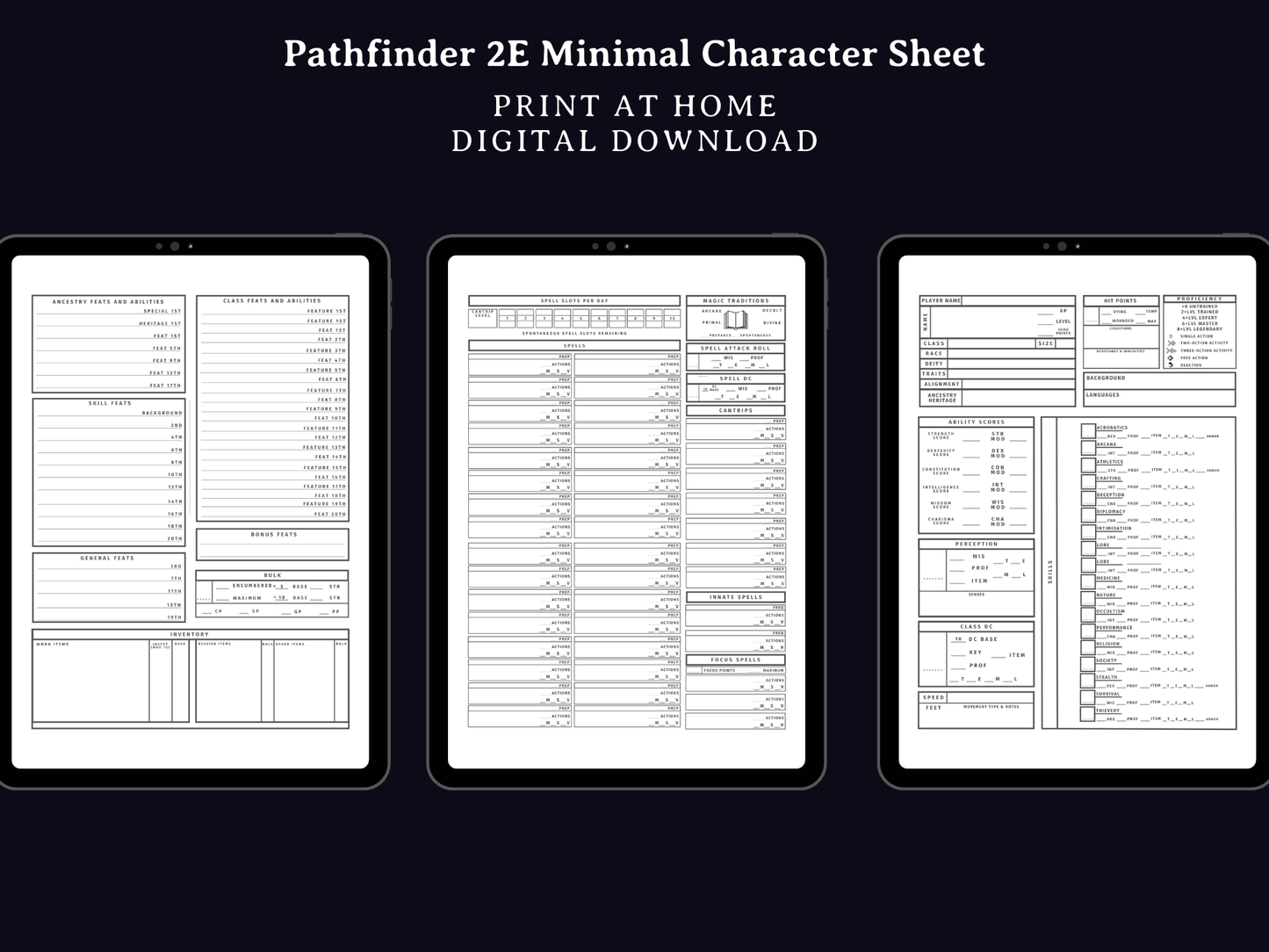 Pathfinder 2e Minimal Character Sheet - Digital Only