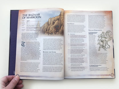 Remarkable Shops & Their Wares (Softcover)