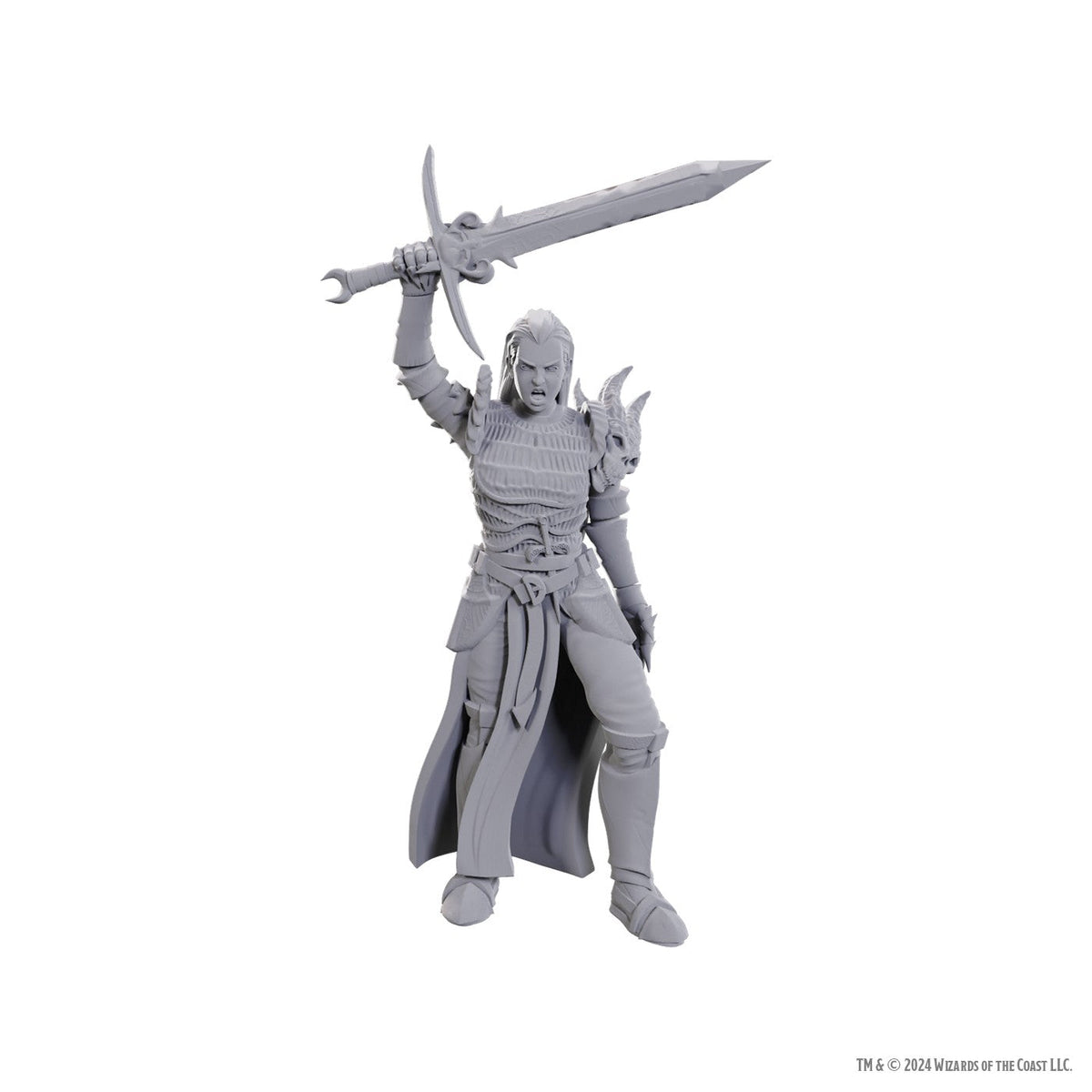 D&D Nolzur's Marvelous Miniatures: Blackguard