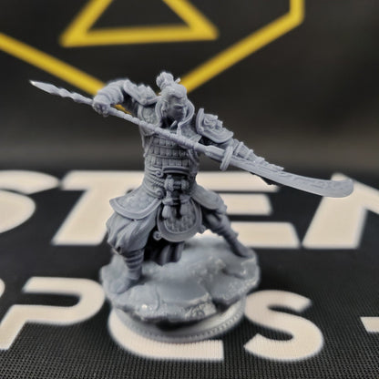 Hu Shen, Commander from the East (Male Human Fighter)