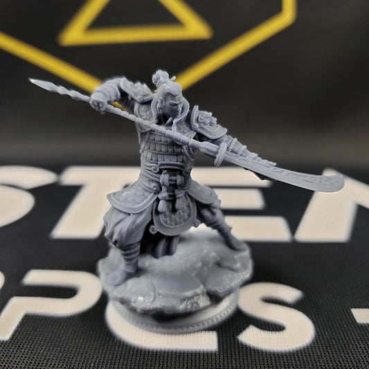 Hu Shen, Commander from the East (Male Human Fighter)