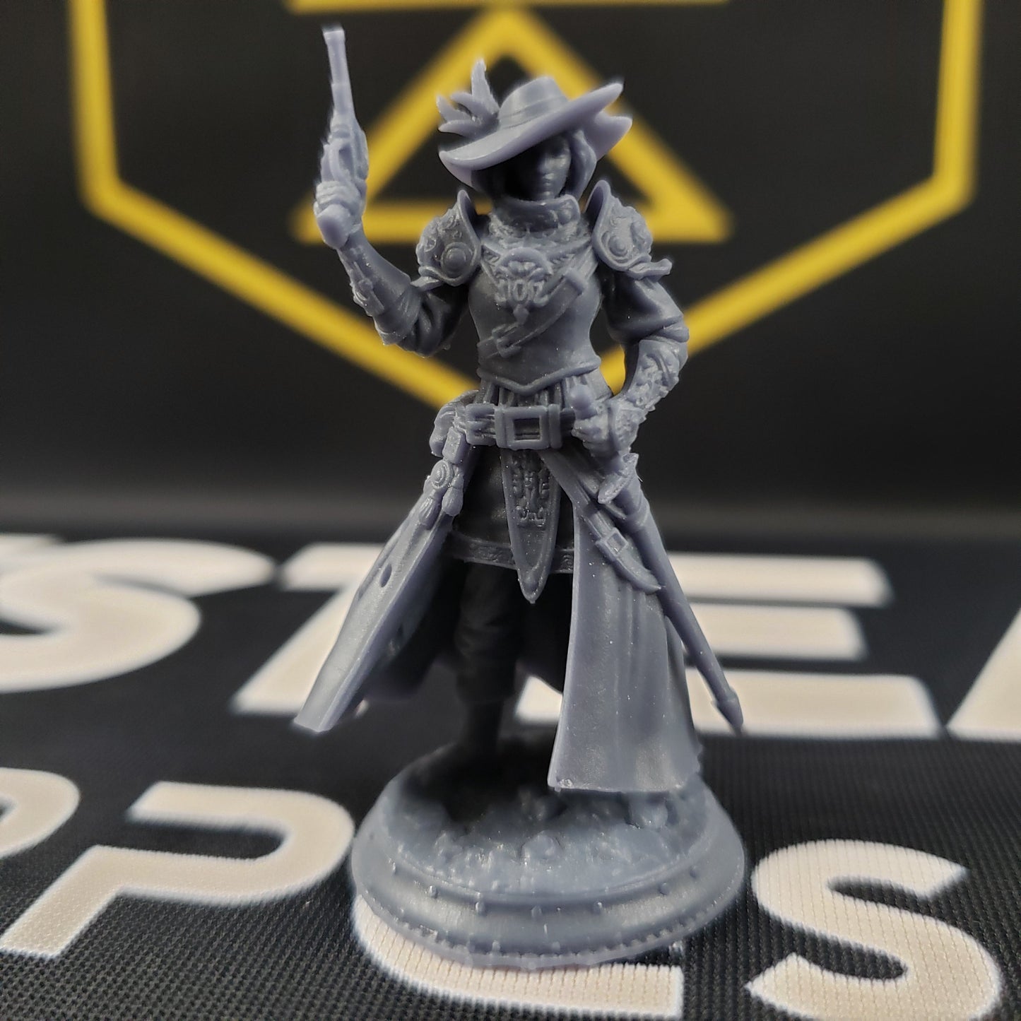 Lady Cirilia of the Reach, High Inquisitor (Female Human Gunslinger)