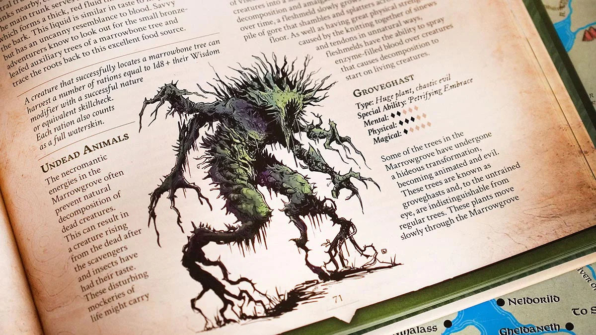 Wondrous Expeditions - Forests (Hardcover)